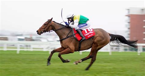 ladbrokes horse racing early odds|Ladbrokes Trophy tips: Horse.